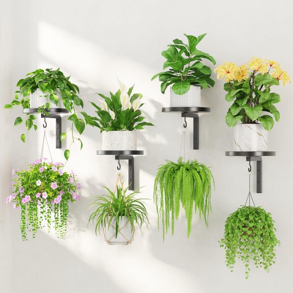 4-Pack Black Metal Wall Plant Display Shelves with Hooks, Modern Floating Flower Pot Holders for Indoor & Outdoor Décor